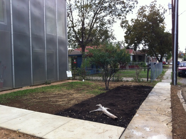 Future butterfly garden. Hilary Scruggs "Cube" has a grey water sprinkler system